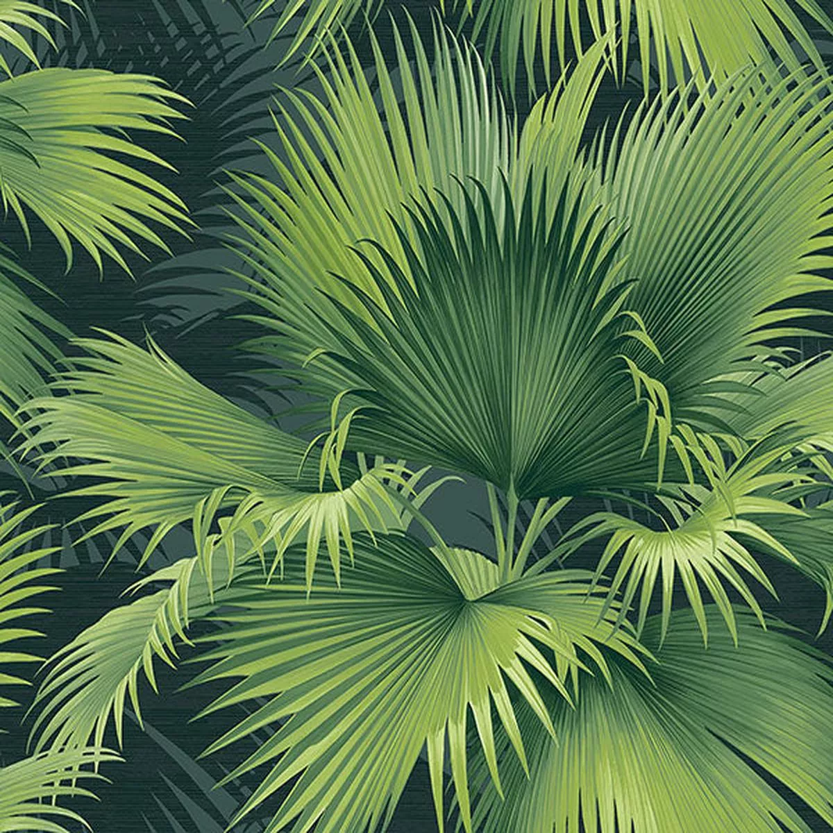 2927-40104-summer-palm-dark-green-tropical-wallpaper 2927-40104 Summer Palm Dark Green Tropical Wallpaper