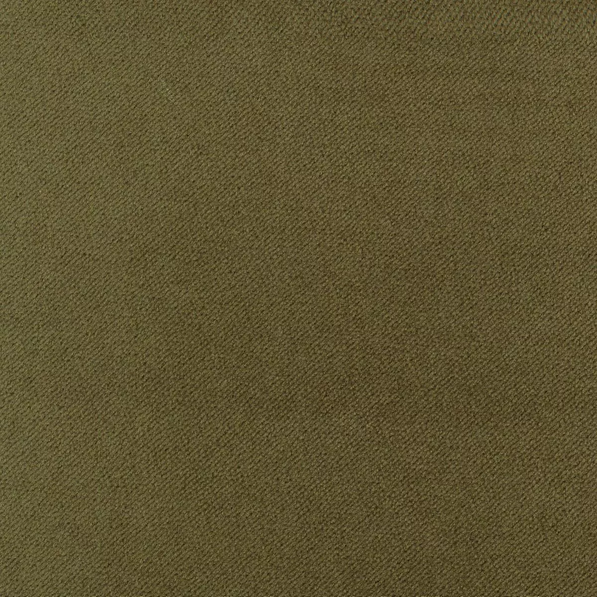 A5315 Olive