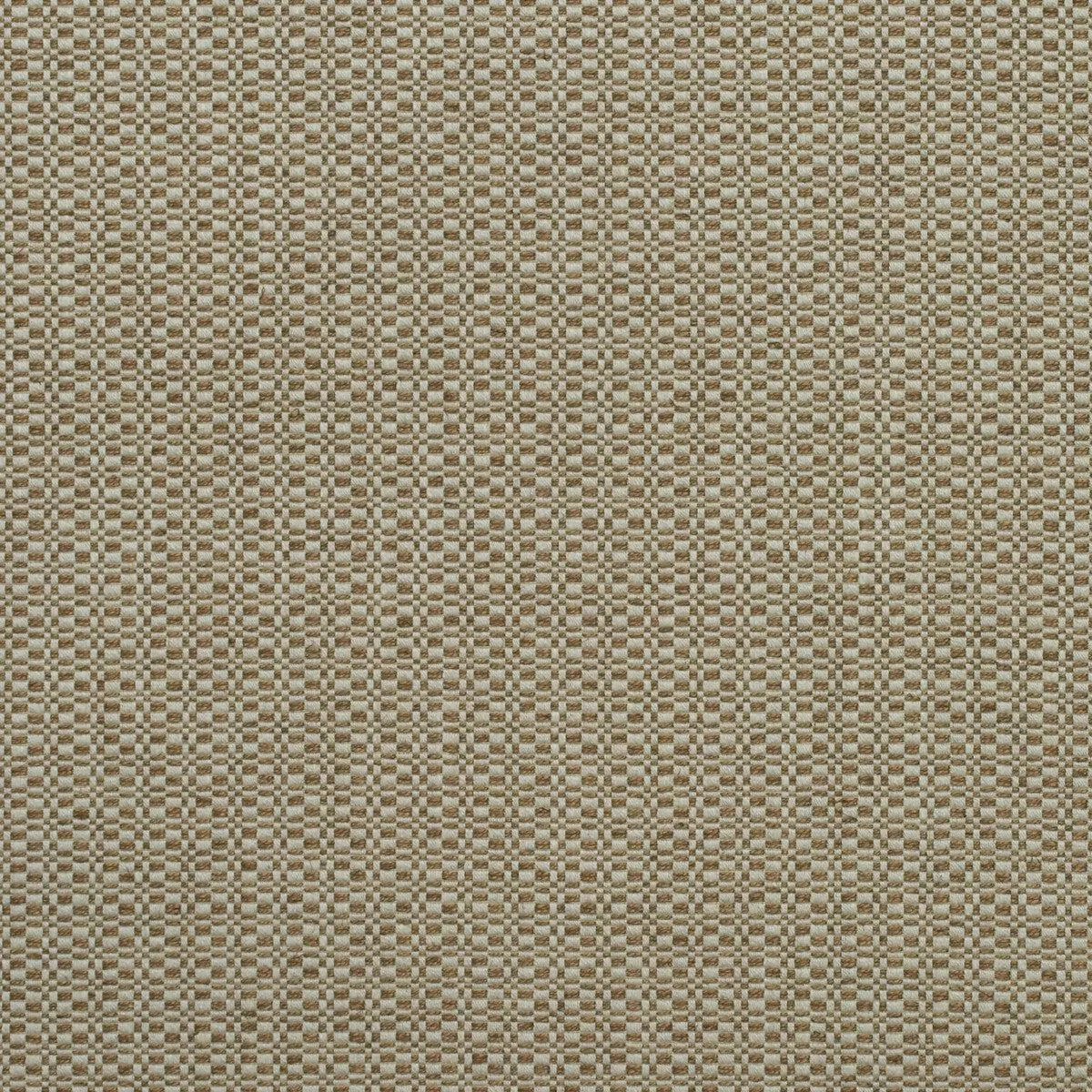 birch-autumn-fabric Birch Autumn Fabric