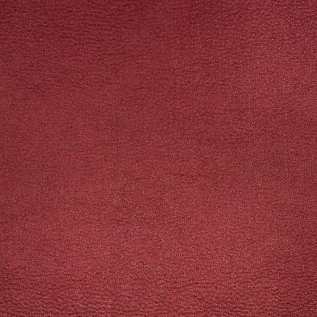 birwood-scarlet BIRWOOD-SCARLET