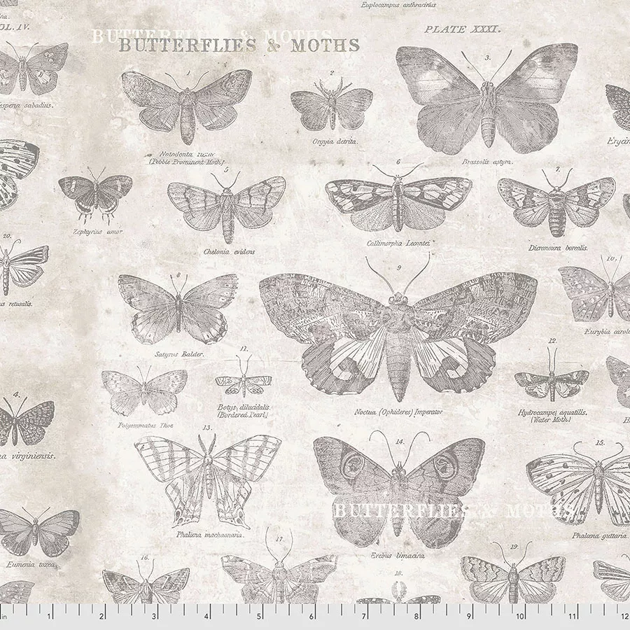 butterflies-parchment-pwth004-parchment-tim-holtz-palette Butterflies - Parchment PWTH004.PARCHMENT || Tim Holtz Palette