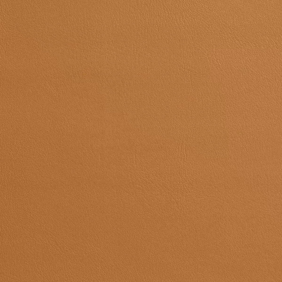 charlotte-7969-buckskin-fabric-by-yard-buckskin Charlotte – 7969 – Buckskin – Fabric by the Yard – Buckskin