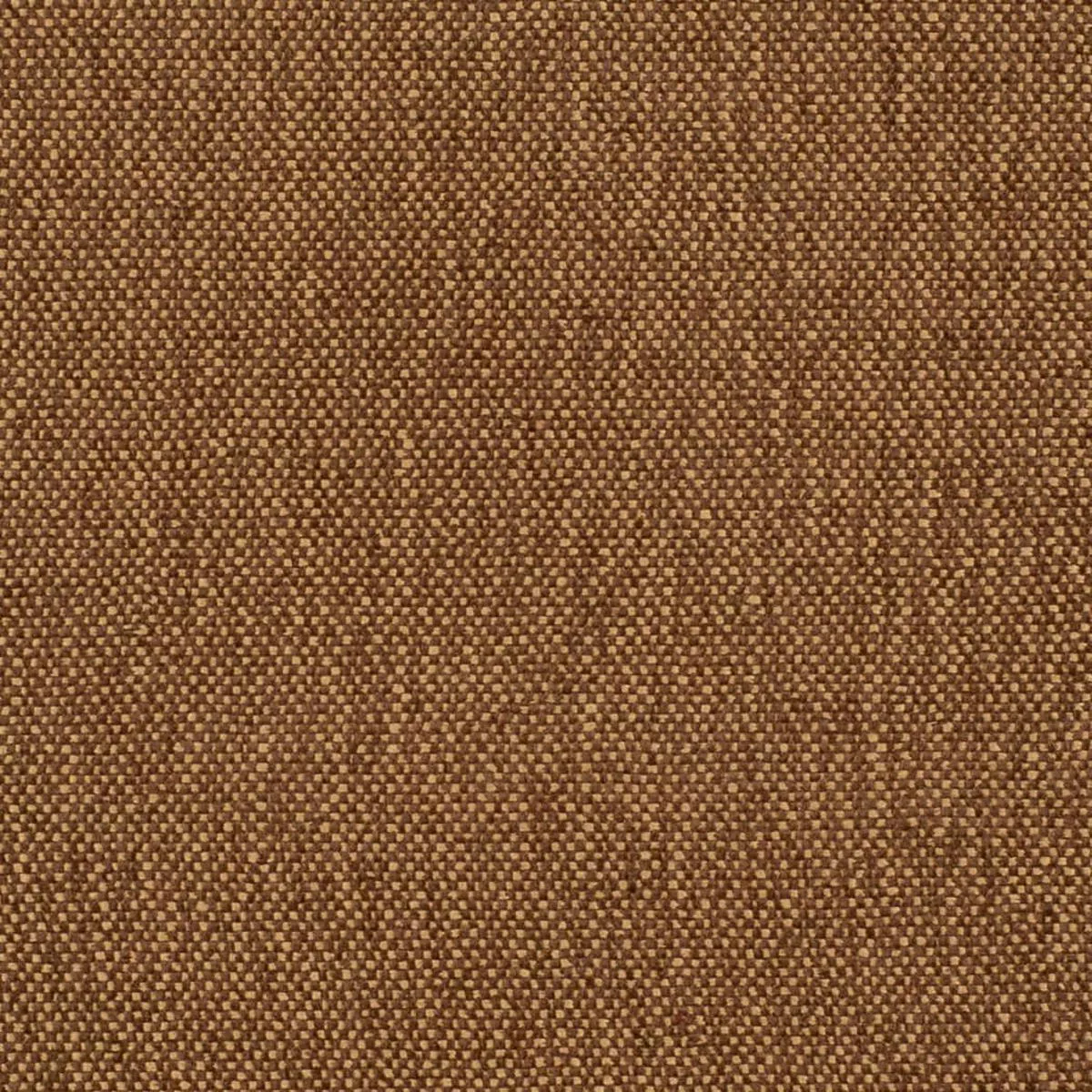 Charlotte – D4466 – Nutmeg – Fabric by the Yard – Nutmeg