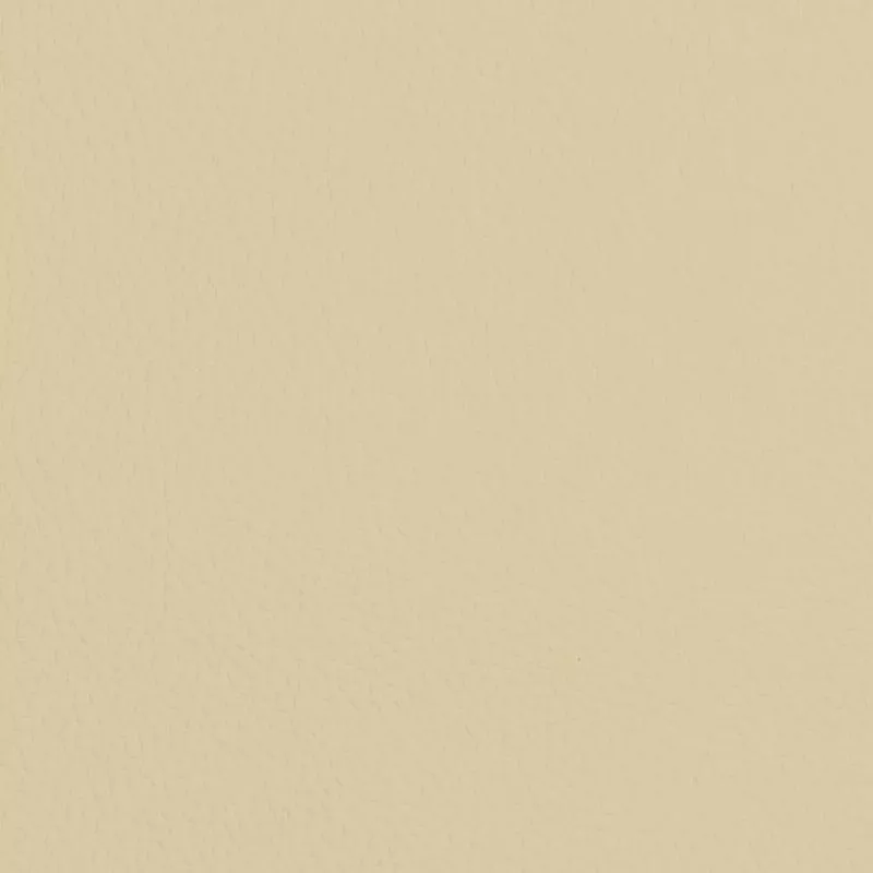 Charlotte Ivory Fabric V428