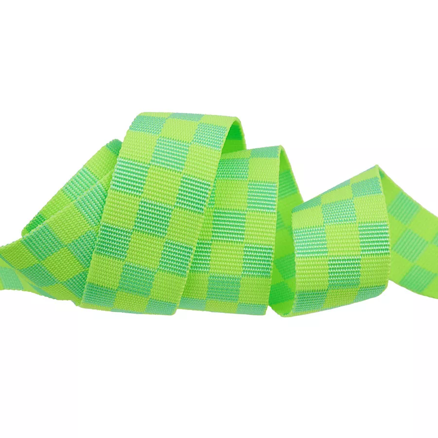 Check Please - Moonbeam Webbing by Tula Pink - Green