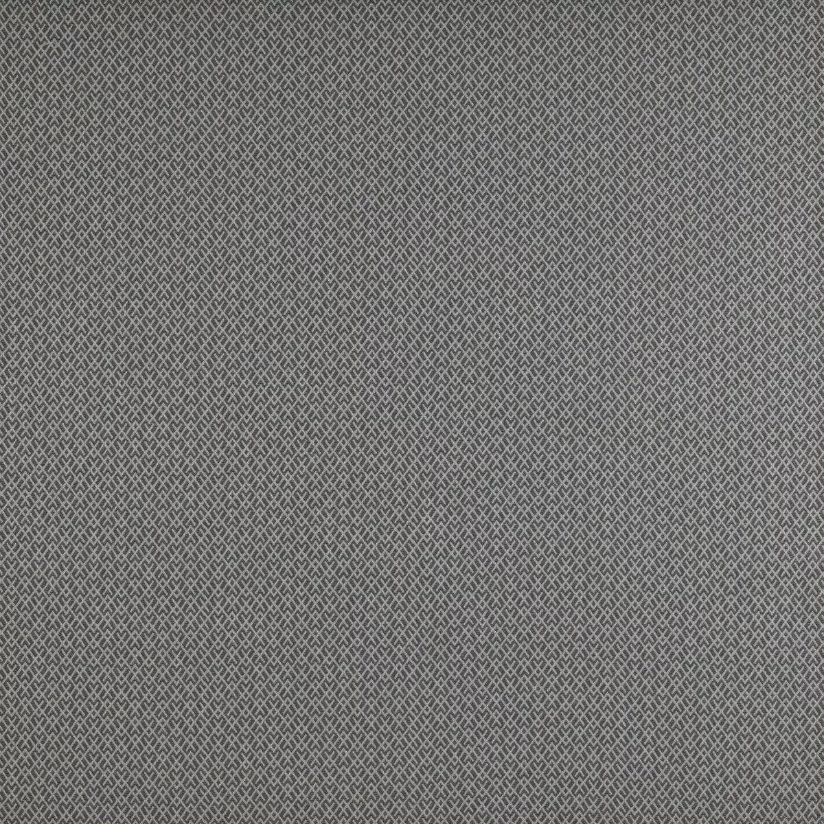Chueca Humo Fabric