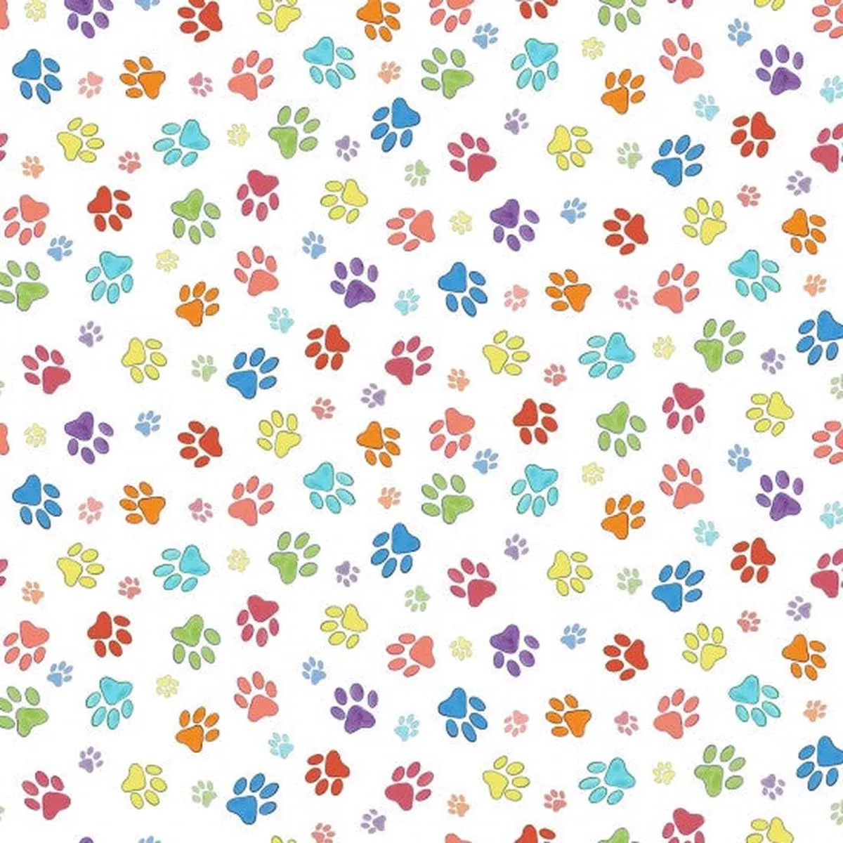 cool-cats-paw-prints Cool Cats – Paw Prints