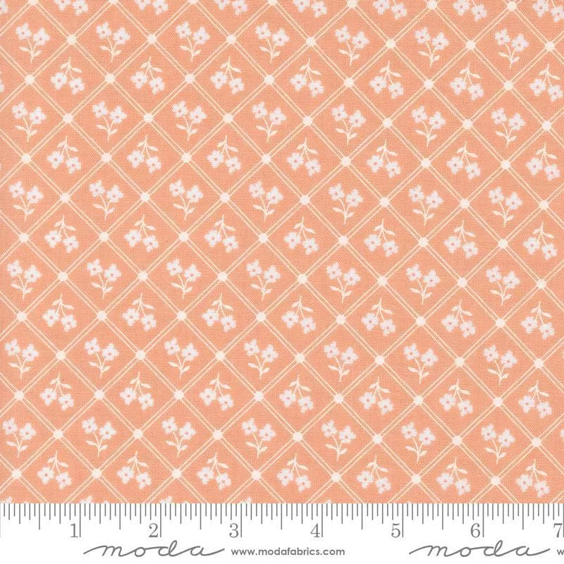 Cottage Charm Peach 31752-19