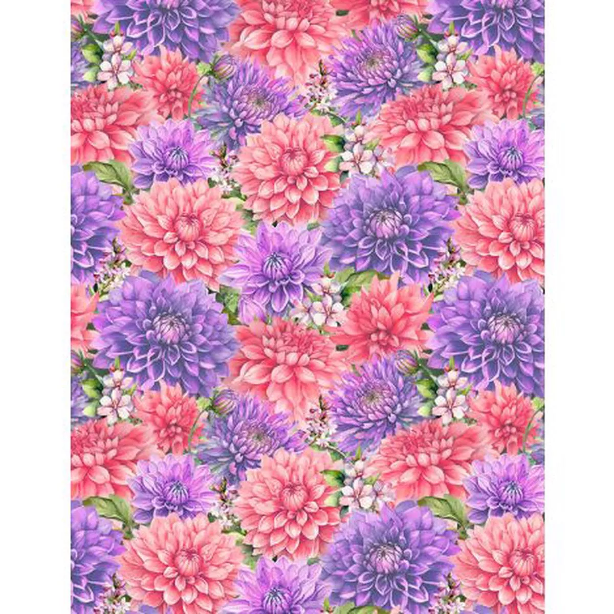dahlia-botanica Dahlia Botanica