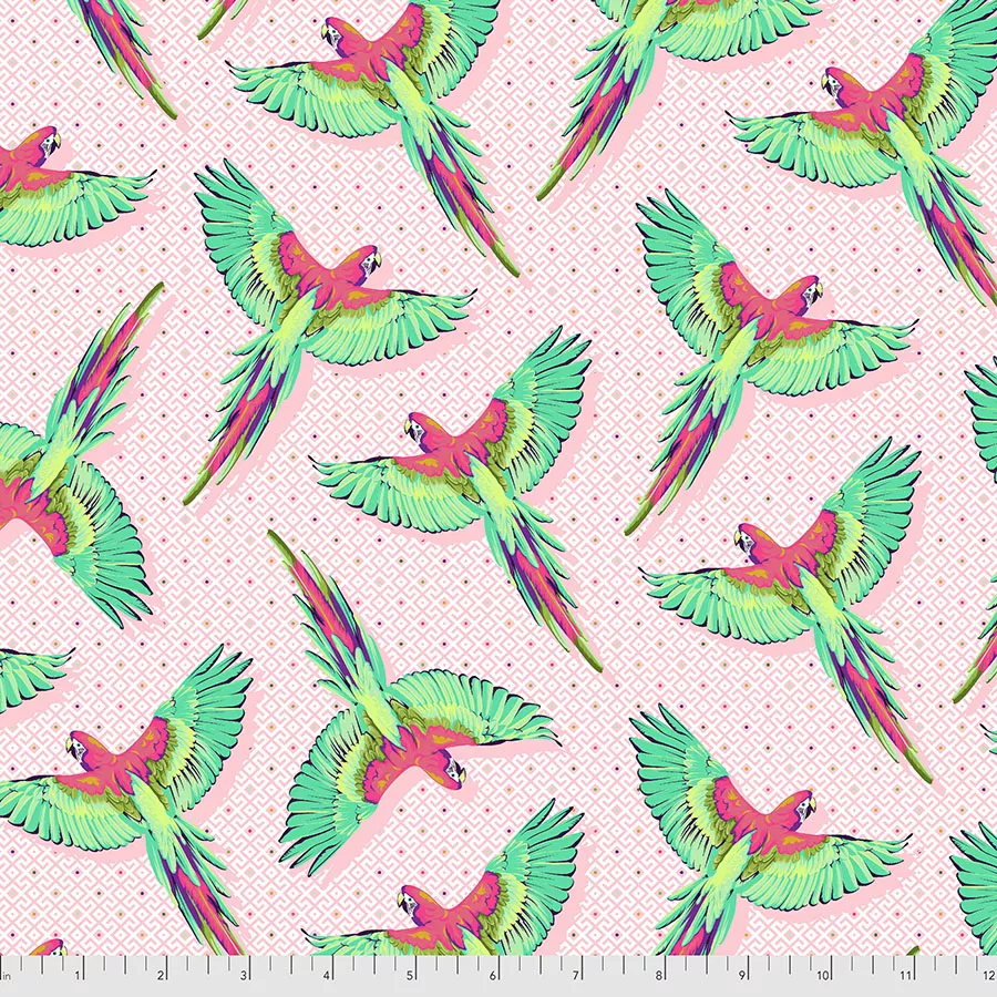 daydreamer-pwtp170-dragonfruit Daydreamer – PWTP170.DRAGONFRUIT