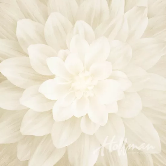 dream-big-panel-ivory Dream Big Panel (Ivory)