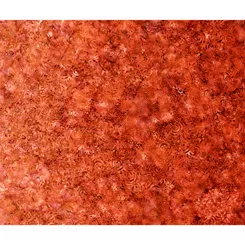 effervescence-burnt-orangeqt-fabrics-28159-or Effervescence Burnt OrangeQT Fabrics 28159-OR