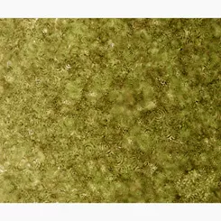 Effervescence Moss GreenQT Fabrics 28159-HS