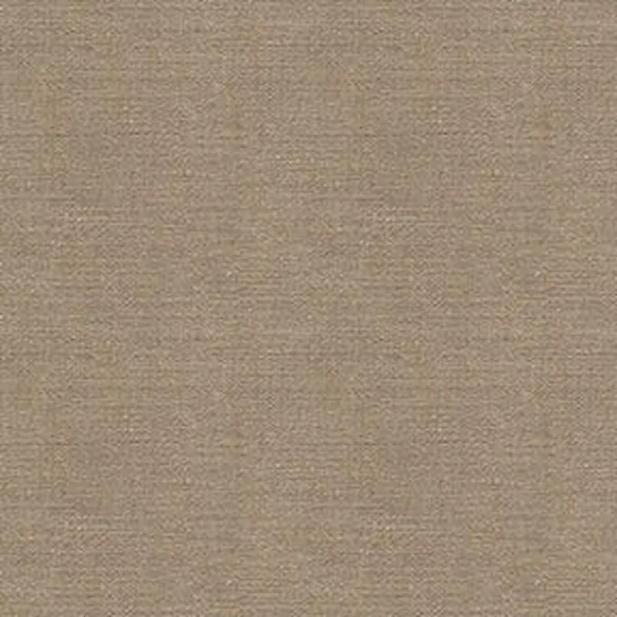 Exuberance 66 Sand Fabric