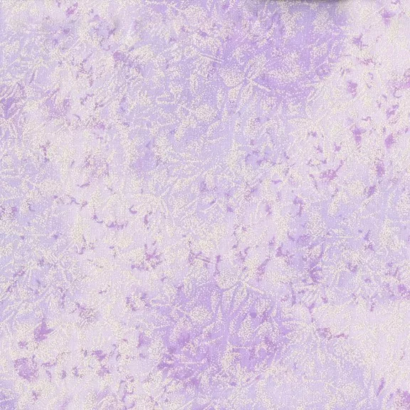 Fairy Frost– Orchid