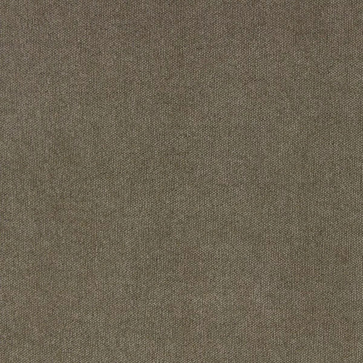 favorite-cappuccino-richloom-fabric Favorite Cappuccino Richloom Fabric