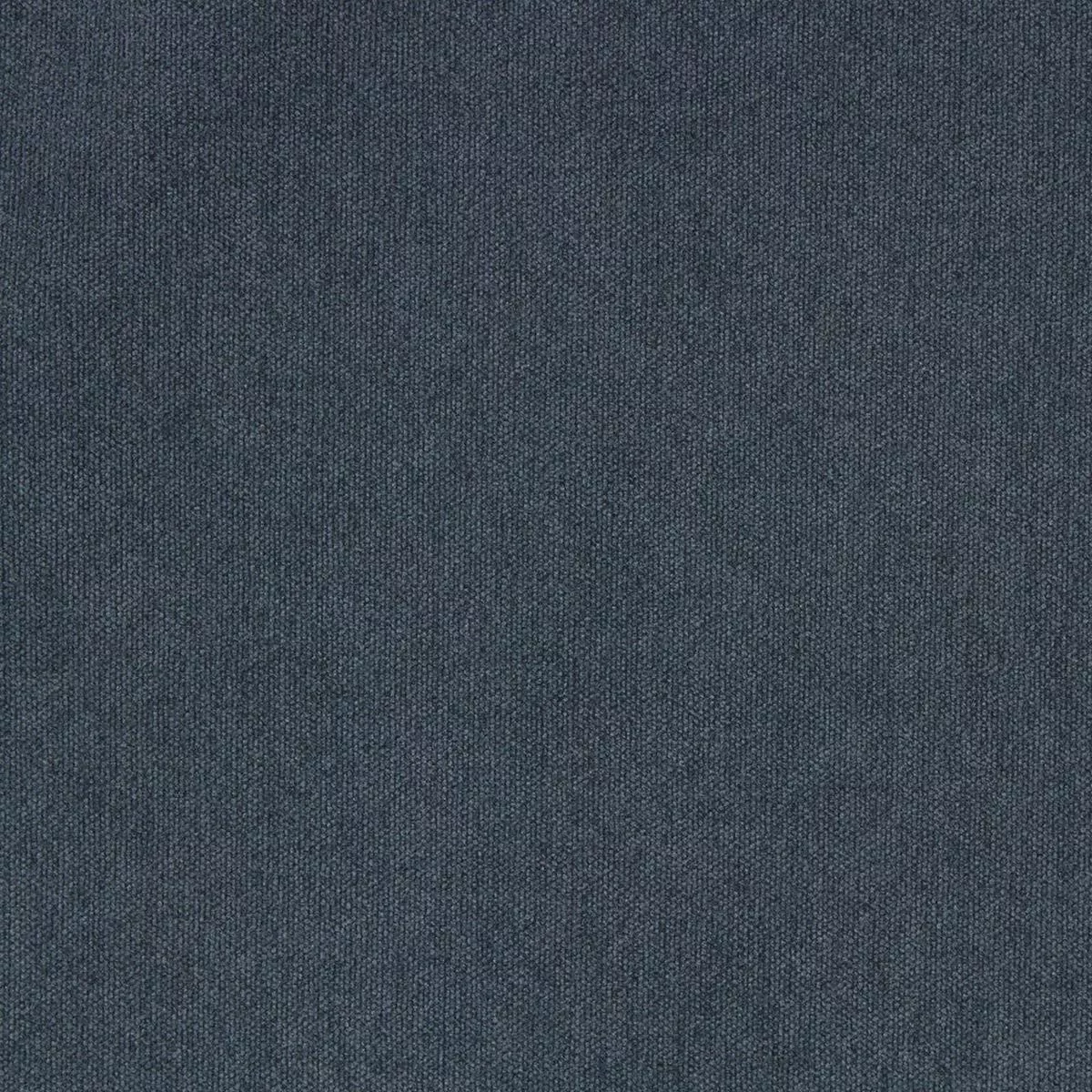 Favorite Denim Richloom Fabric
