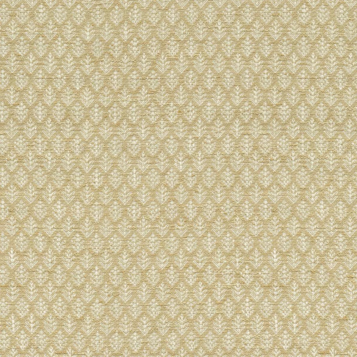 fern-fair-wheat-p-k-lifestyles-fabric Fern Fair Wheat P/K Lifestyles Fabric