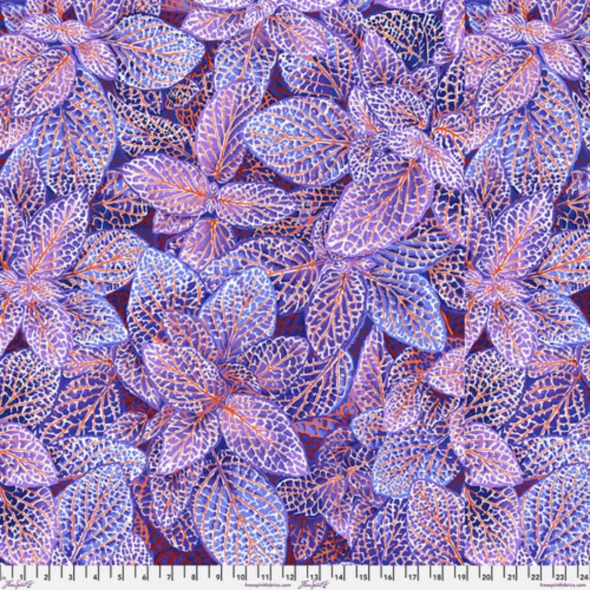 Fittonia Blue by Philip Jacobs