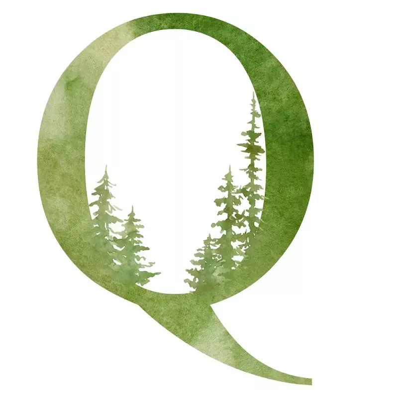 foggy-forest-q-fabric-panel Foggy Forest Q Fabric Panel