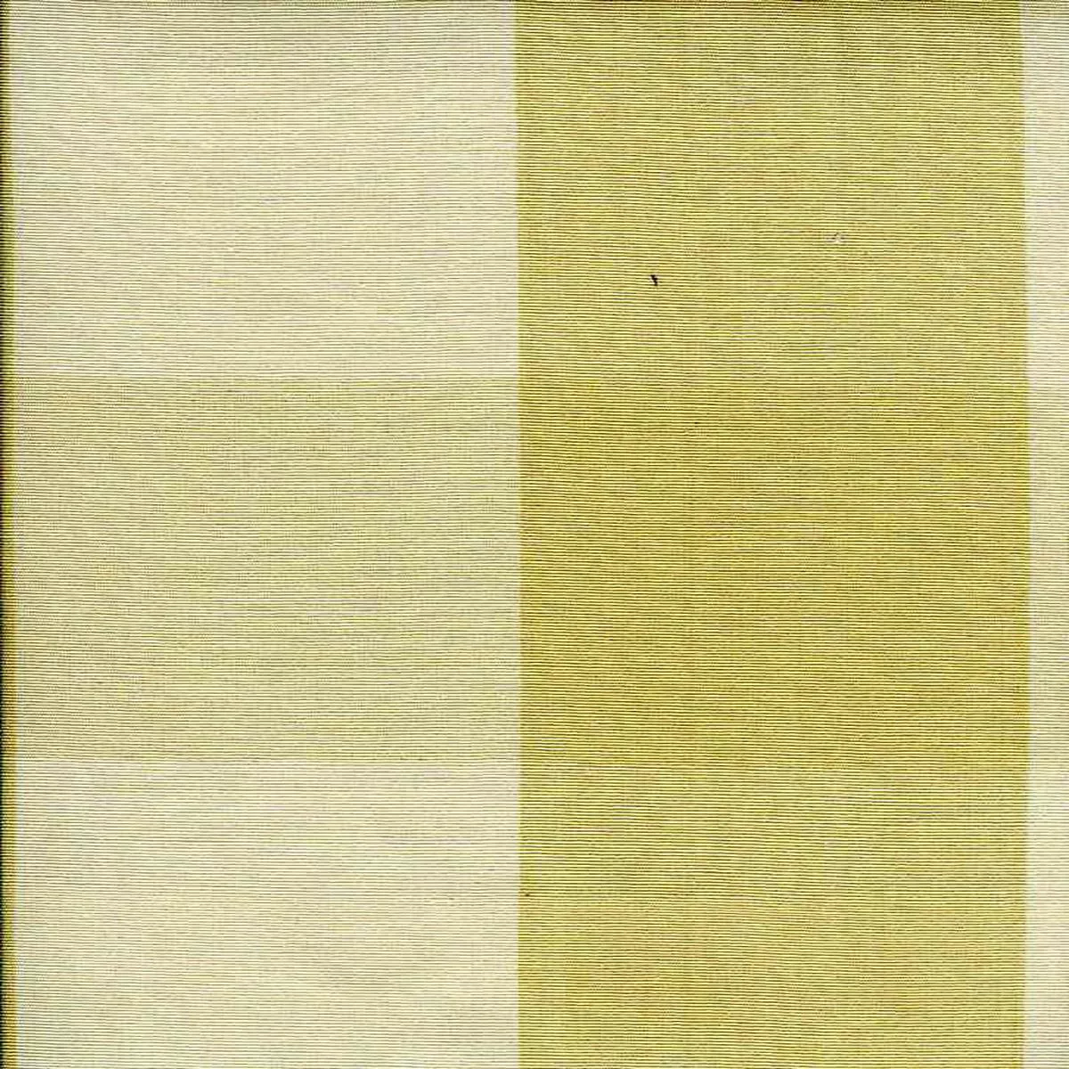 Four Inch Check Maize Laura Kiran by Tempo Fabrics