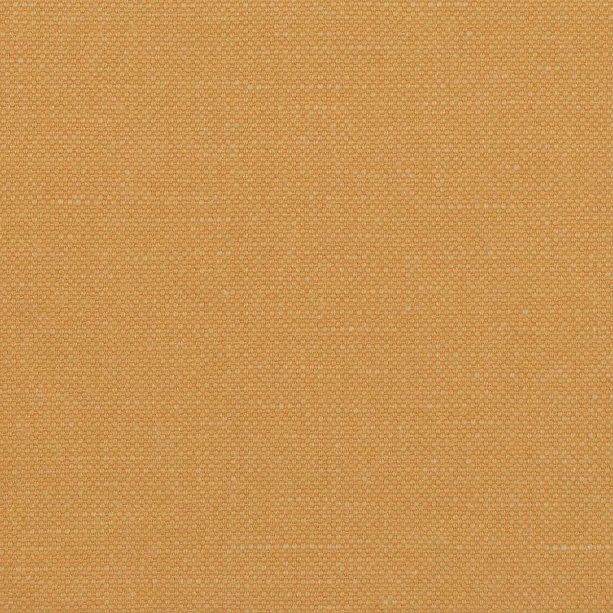 Fulton Honey P/Kaufmann Fabric