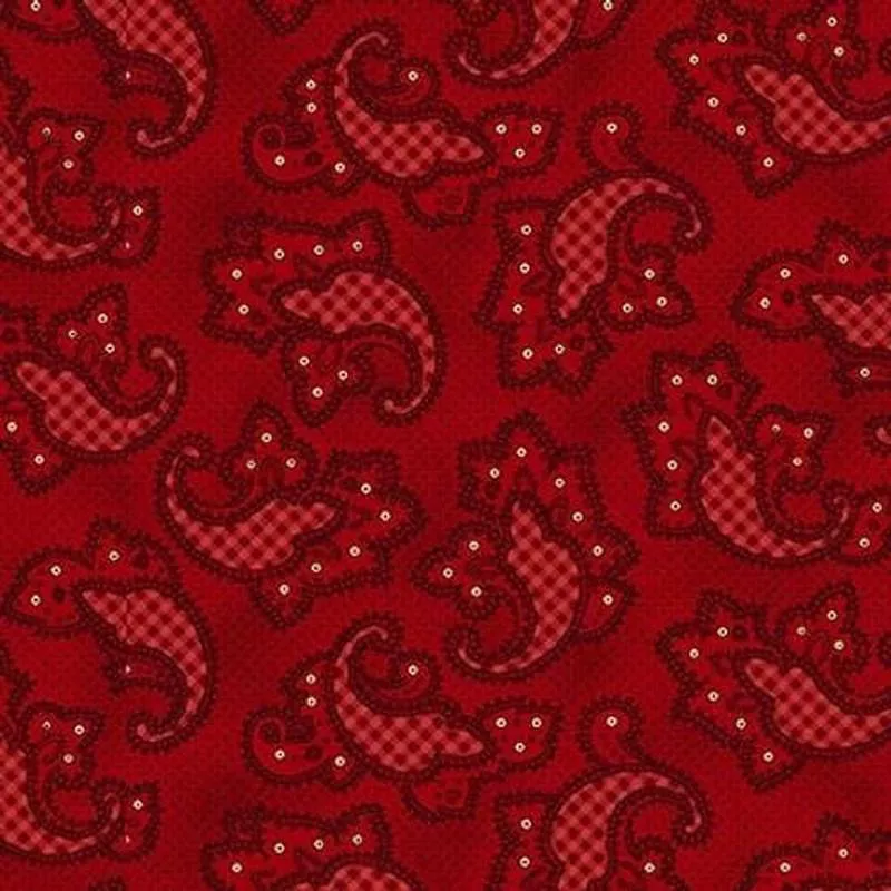 Garnets & Gingham – Gingham Paisley Garnet