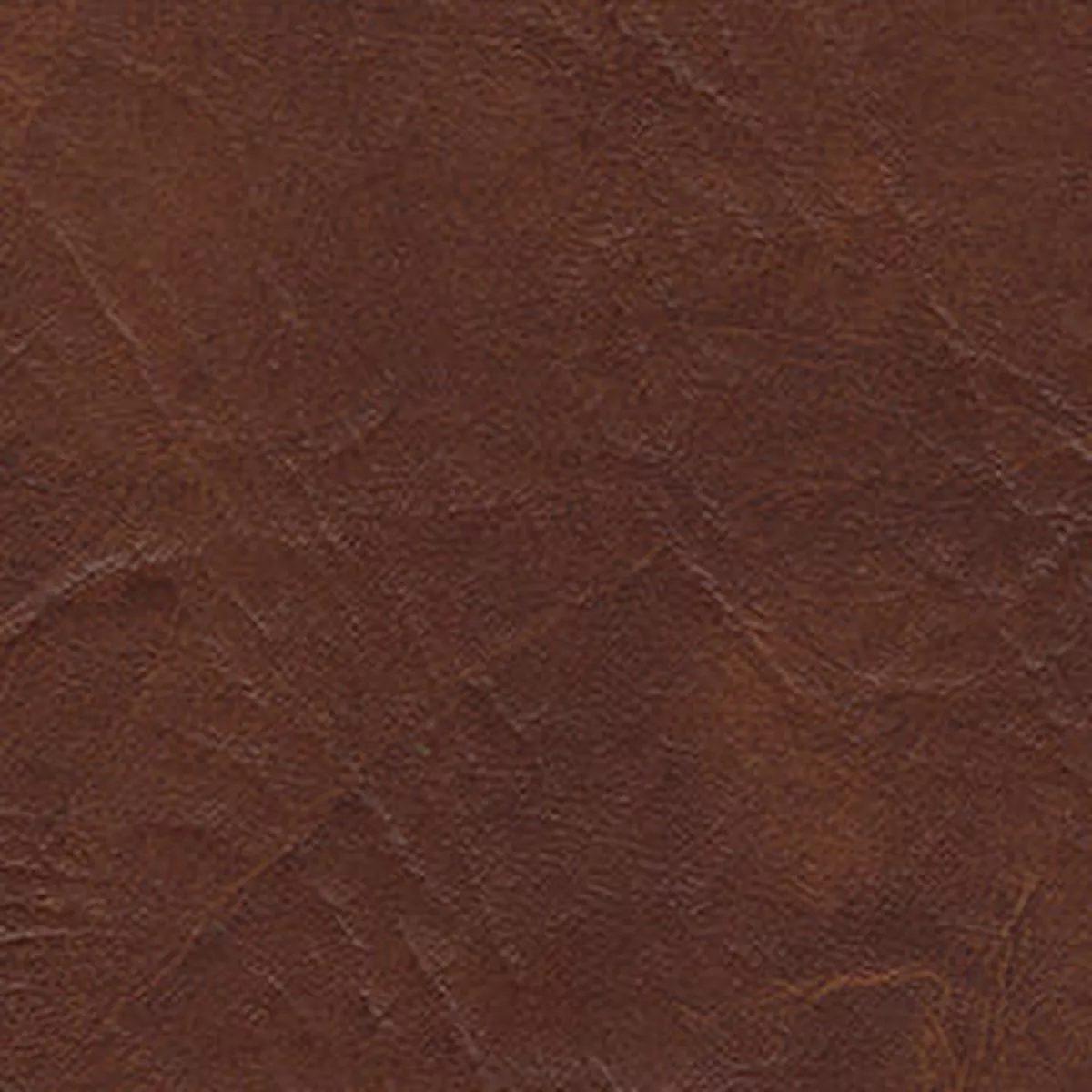 Gaucho 88 Aztec Fabric