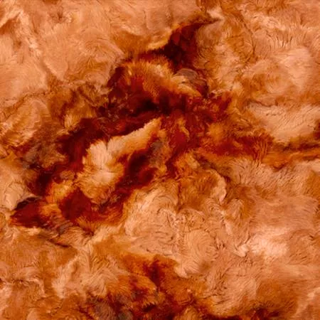 Ginger Luxe Cuddle Galaxy - SF45709 by Shannon Fabrics