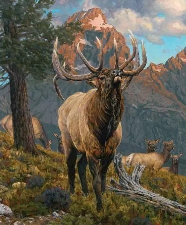 grand-elk-panelriley-blake-designs-pd15980-panel Grand Elk PanelRiley Blake Designs PD15980-PANEL