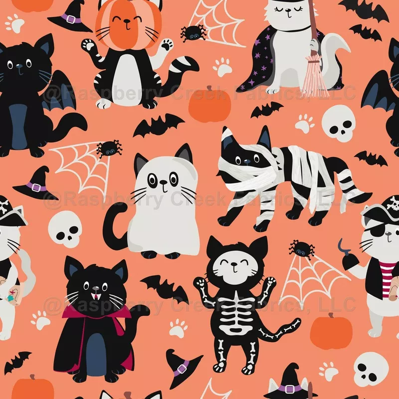 halloween-costume-cats-orange Halloween Costume Cats Orange