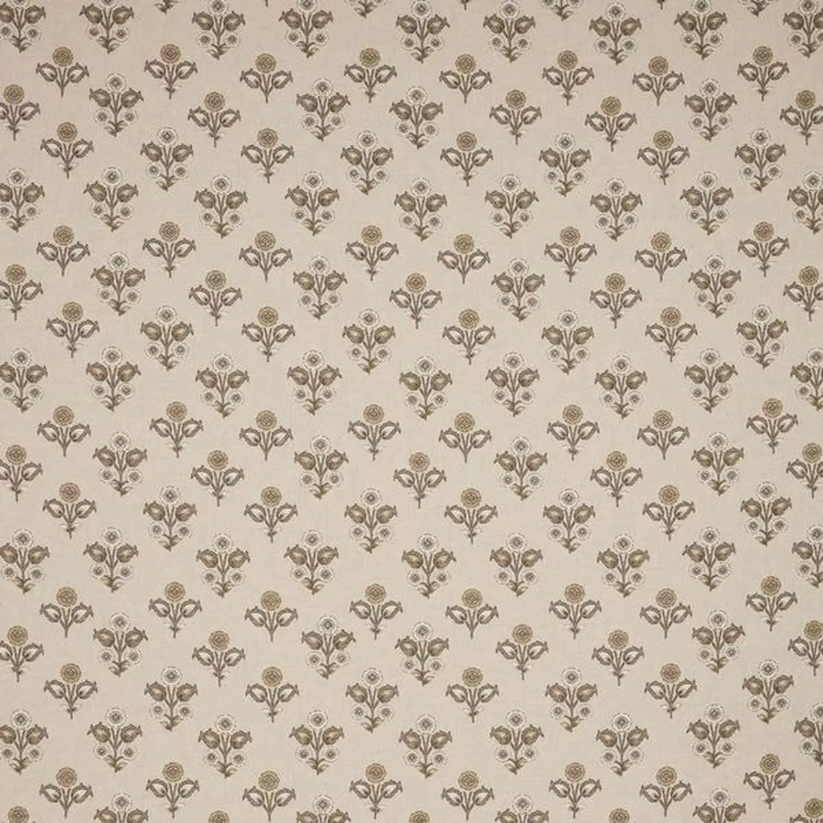 iliv-kochi-limestone ILiv Kochi Limestone
