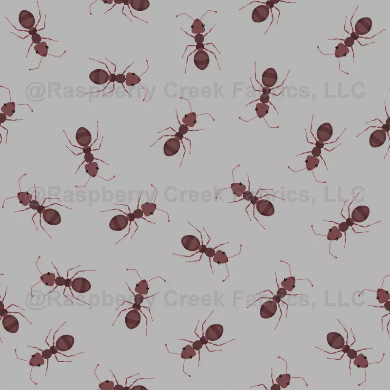 Illustrated Brown Ants on Gray