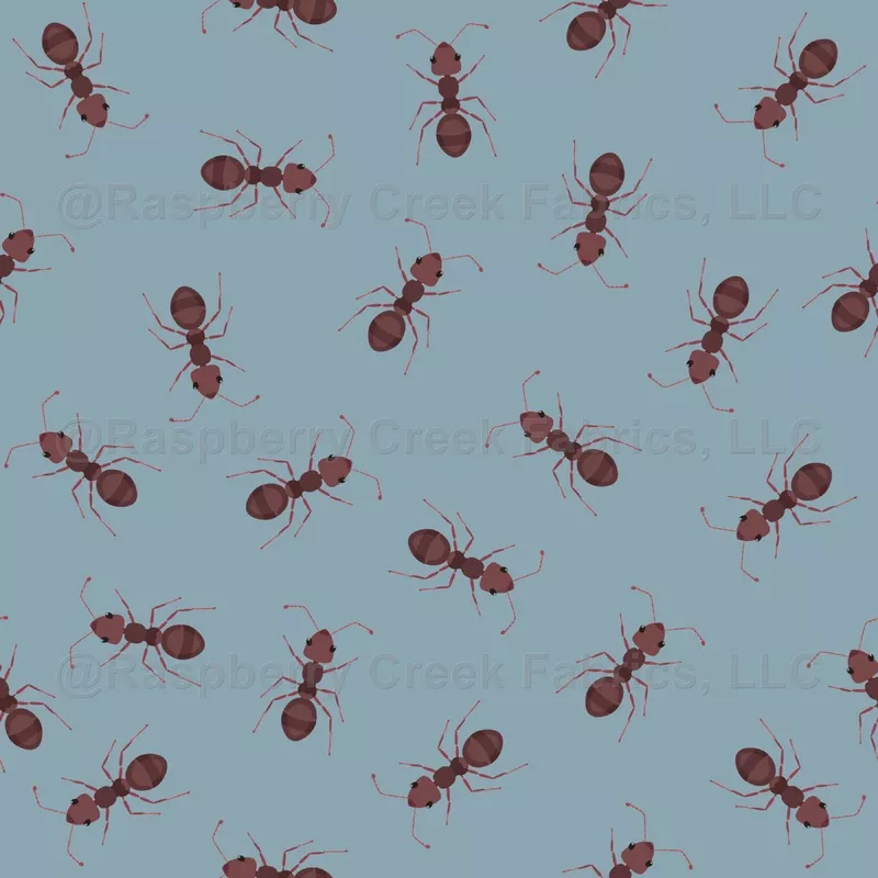 Illustrated Brown Ants on Light Gray-Blue