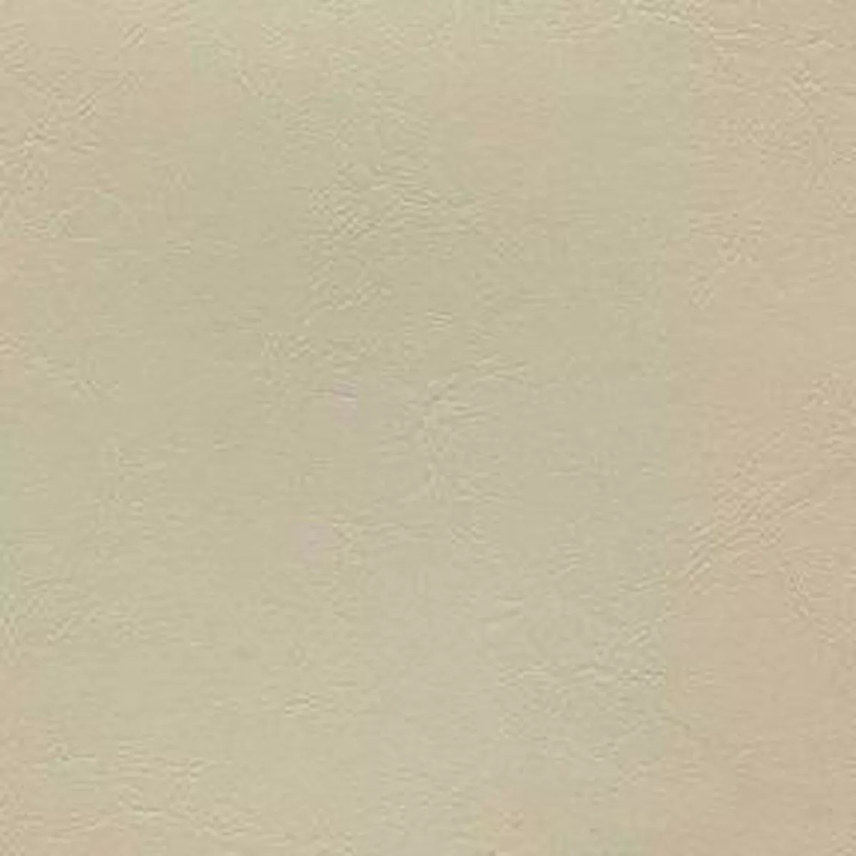 Lighthouse Almond 4919 Fabric