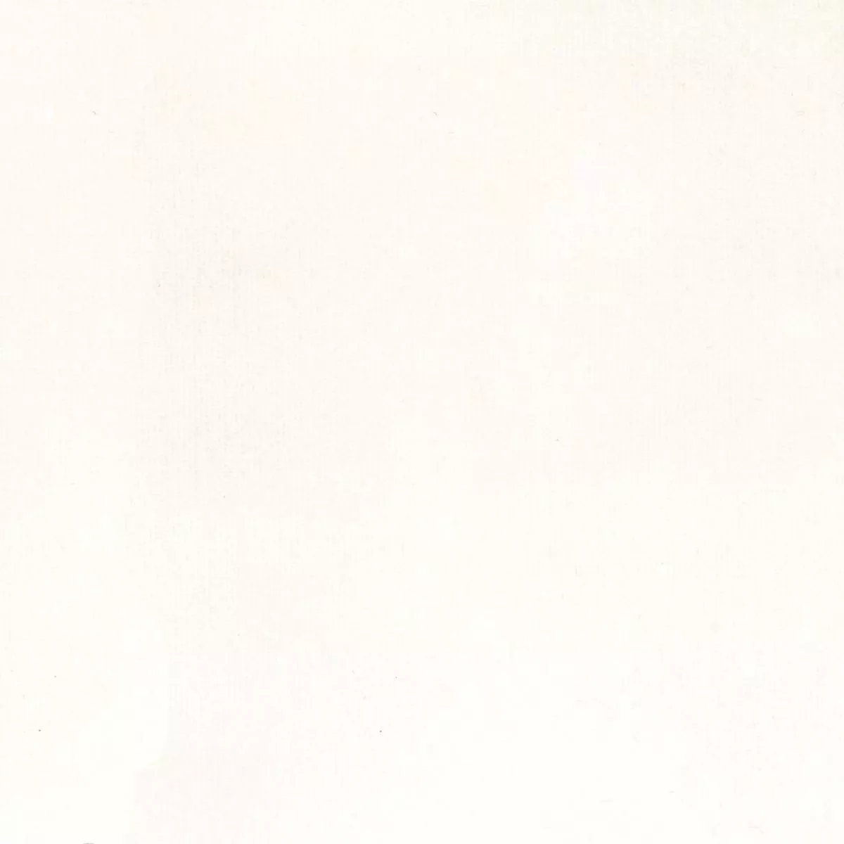 Linden Snow Regal Fabric
