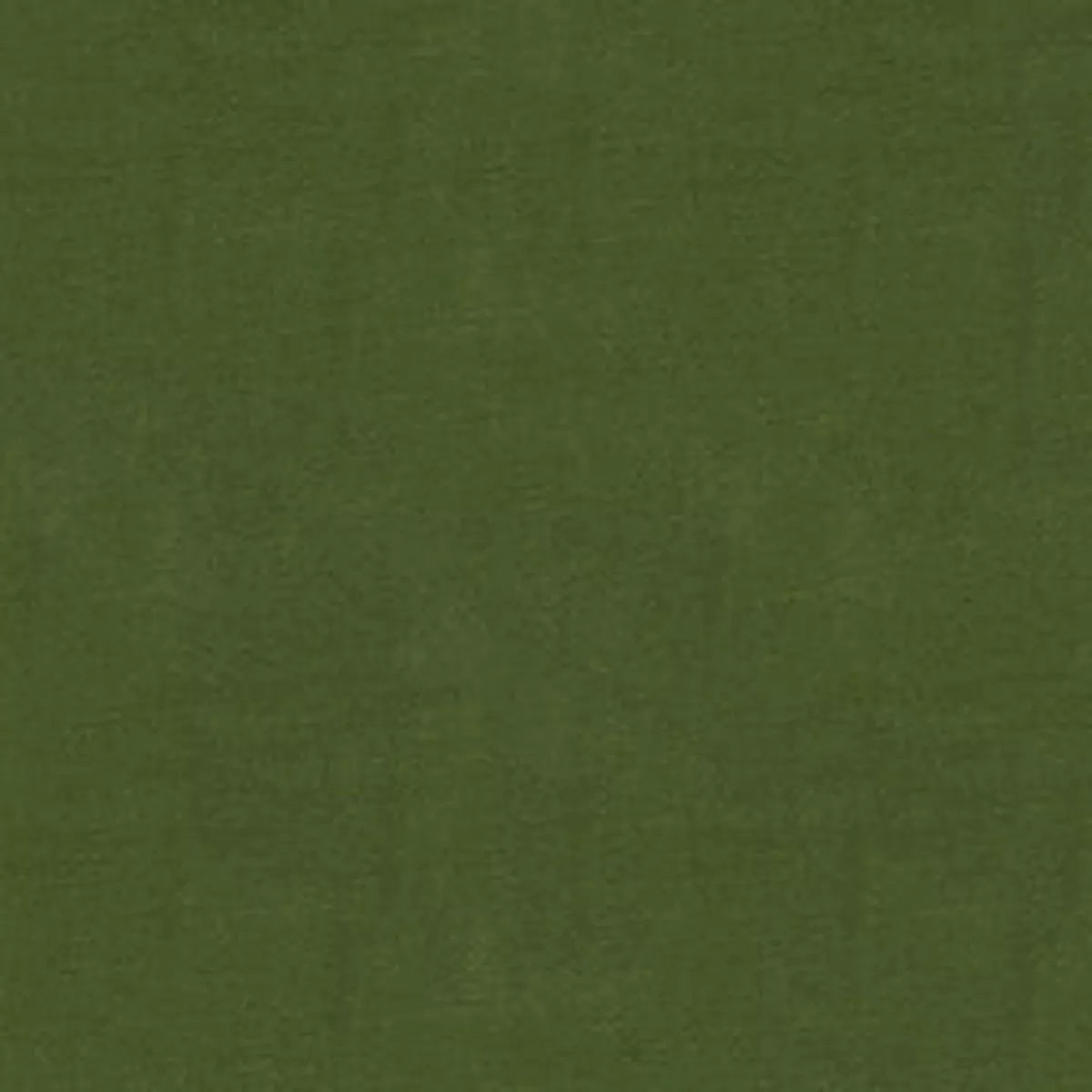 Luscious 27 Loden Fabric