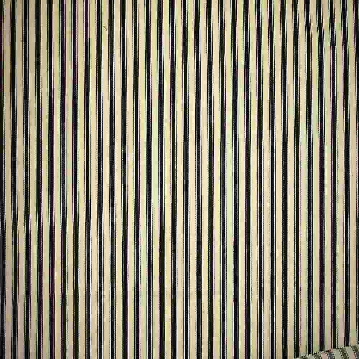 Medium Ticking Black Laura Kiran Fabric