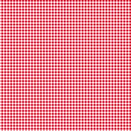 Mini Gingham White/RedWilmingtom 39161-133
