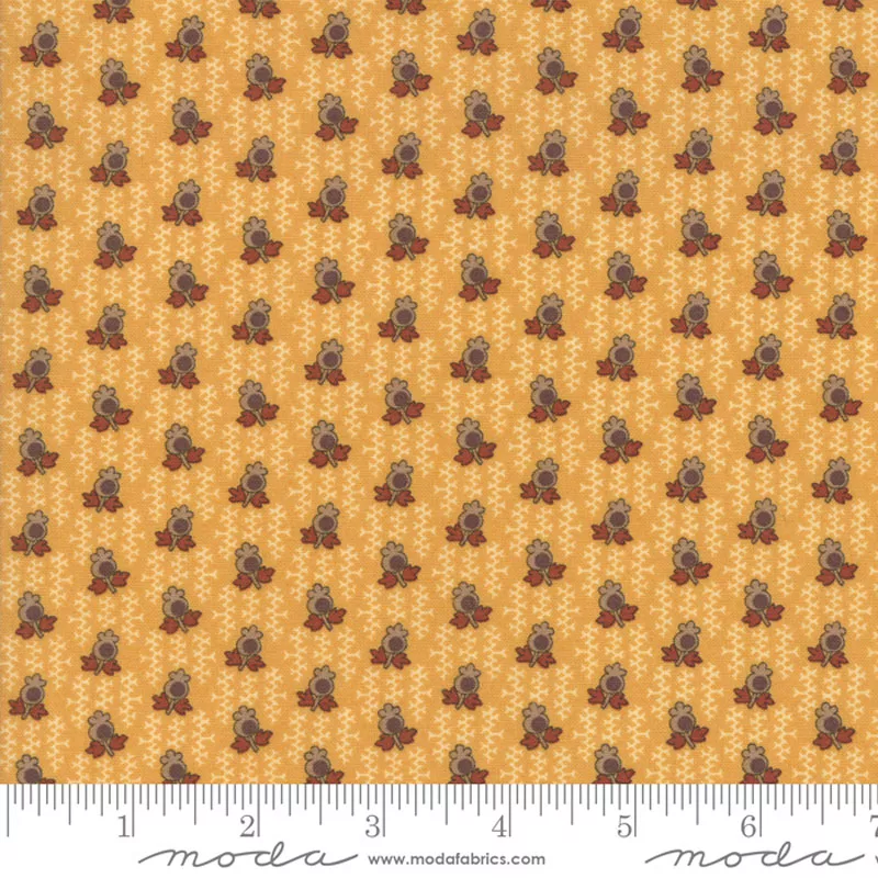 Nancy’s Needle – 31605-17