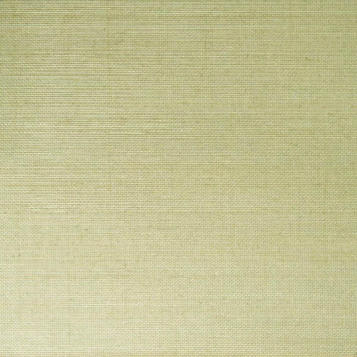 Narumi Light Green Grasscloth Wallpaper