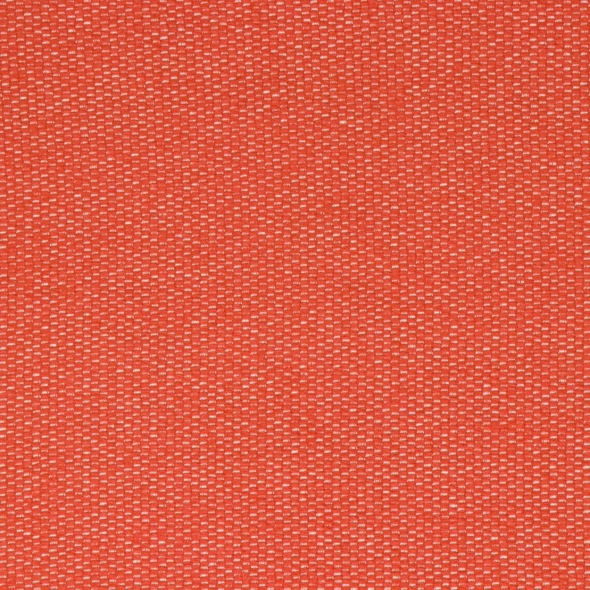NEPTUNE PERSIMMON Bella Dura Fabric