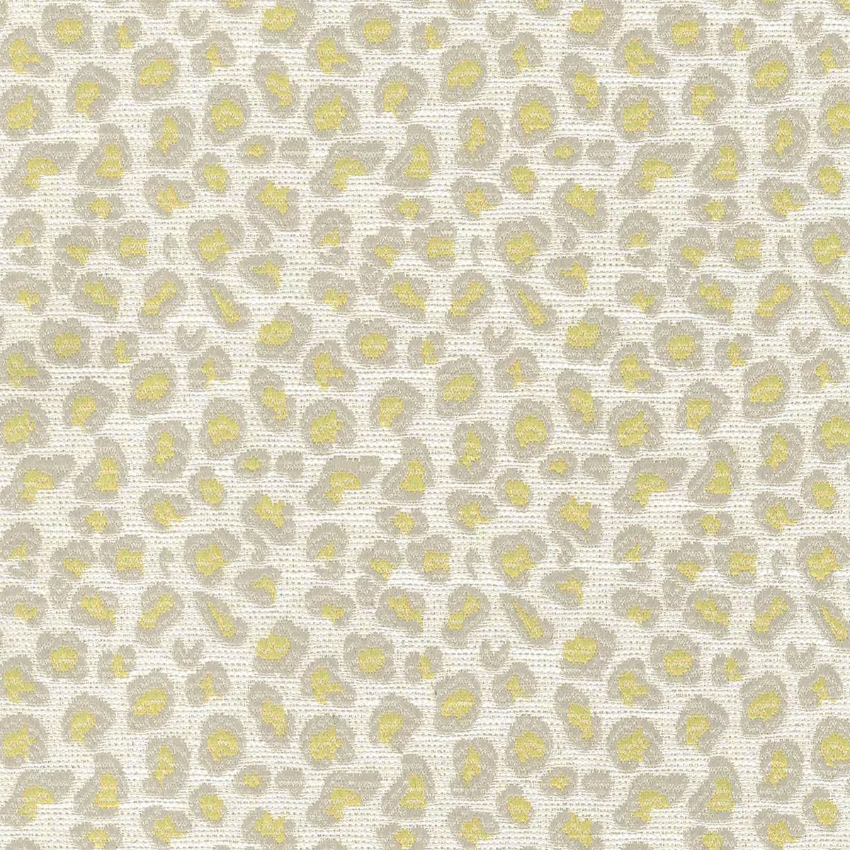 Nikki Citron Regal Fabric