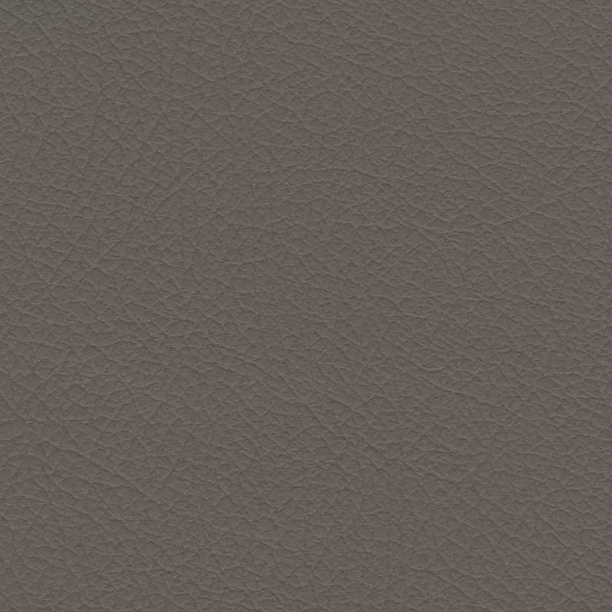 Nuance 2454 Fawn Fabric