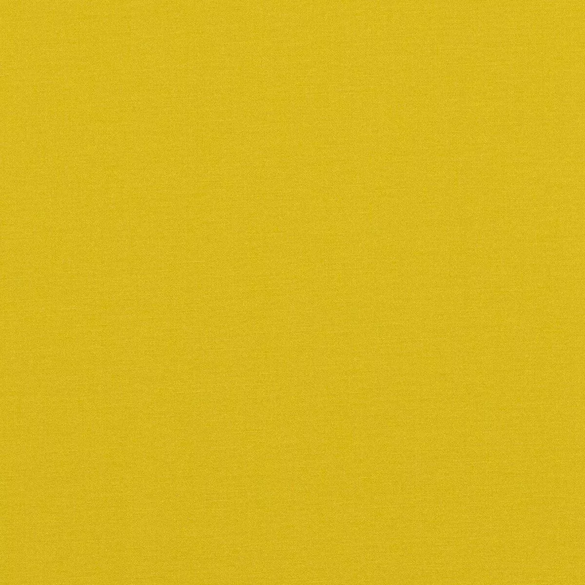 pavilion-citrus-fabric Pavilion Citrus Fabric