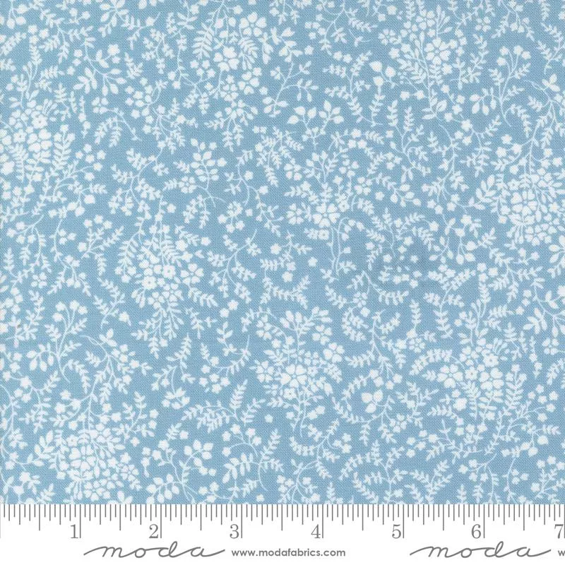 Shoreline – 55304-22