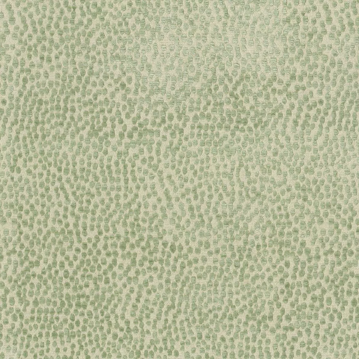spotty-dotty-meadow-p-k-lifestyles-fabric Spotty Dotty Meadow P/K Lifestyles Fabric