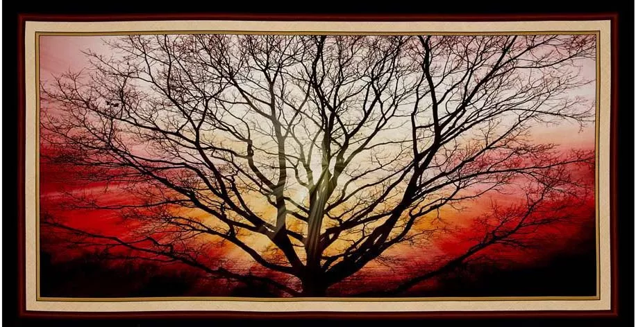 sunburst-sentinel-panel Sunburst Sentinel Panel