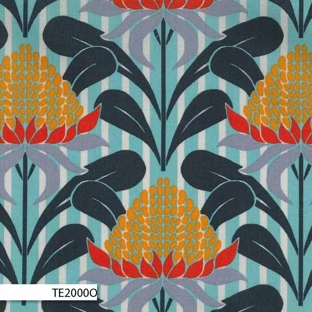 Terra Australis – TE2000O