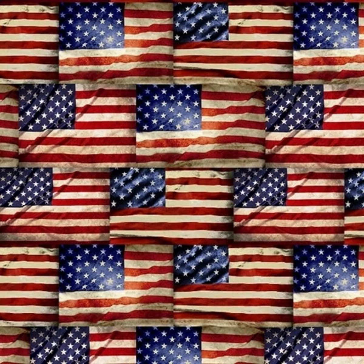 Timeless Treasures – C8360 Flags